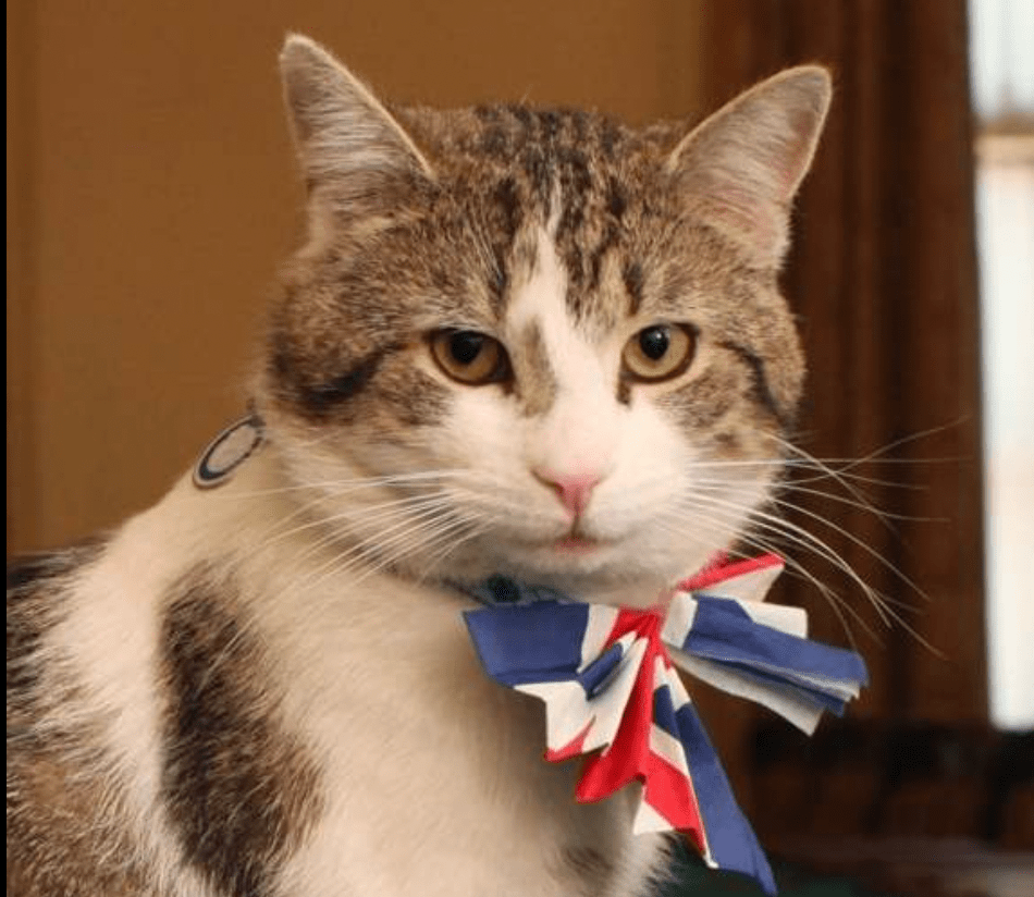 Storia del gatto Larry di Downing&nbsp;Street