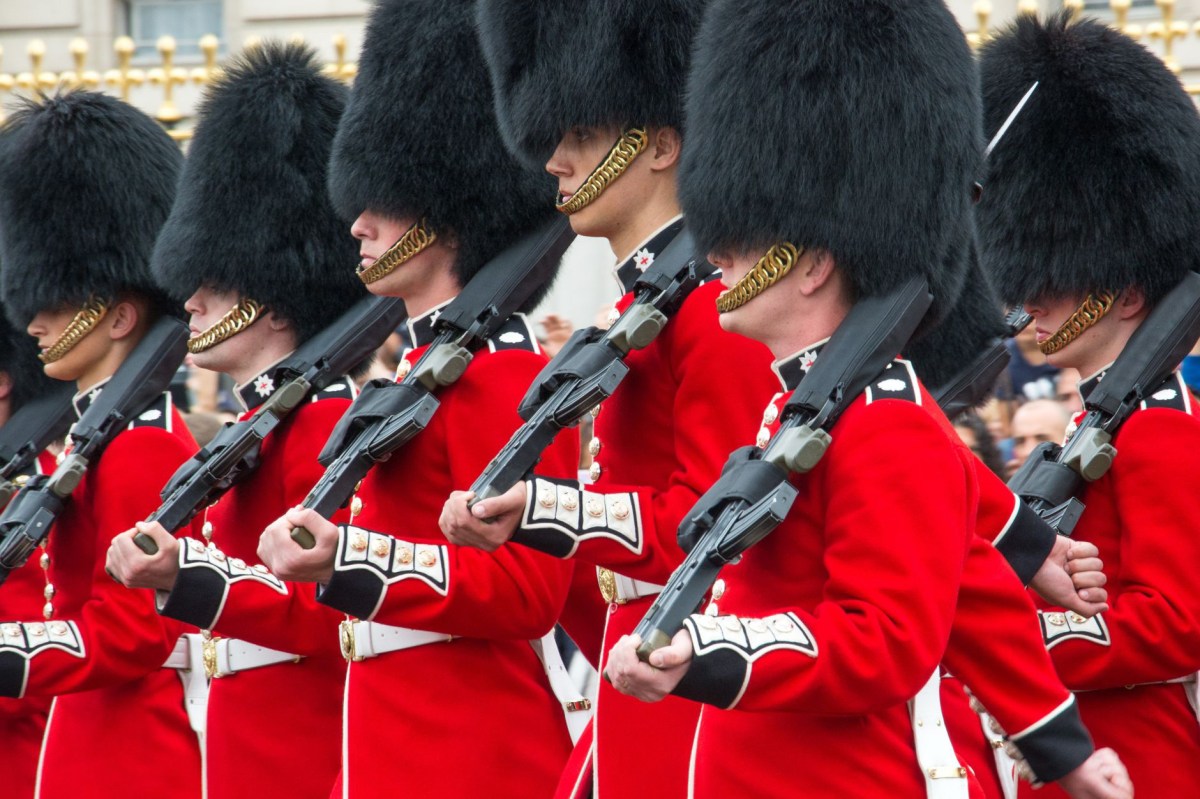 Guardie reali britanniche quasi&nbsp;ambientaliste