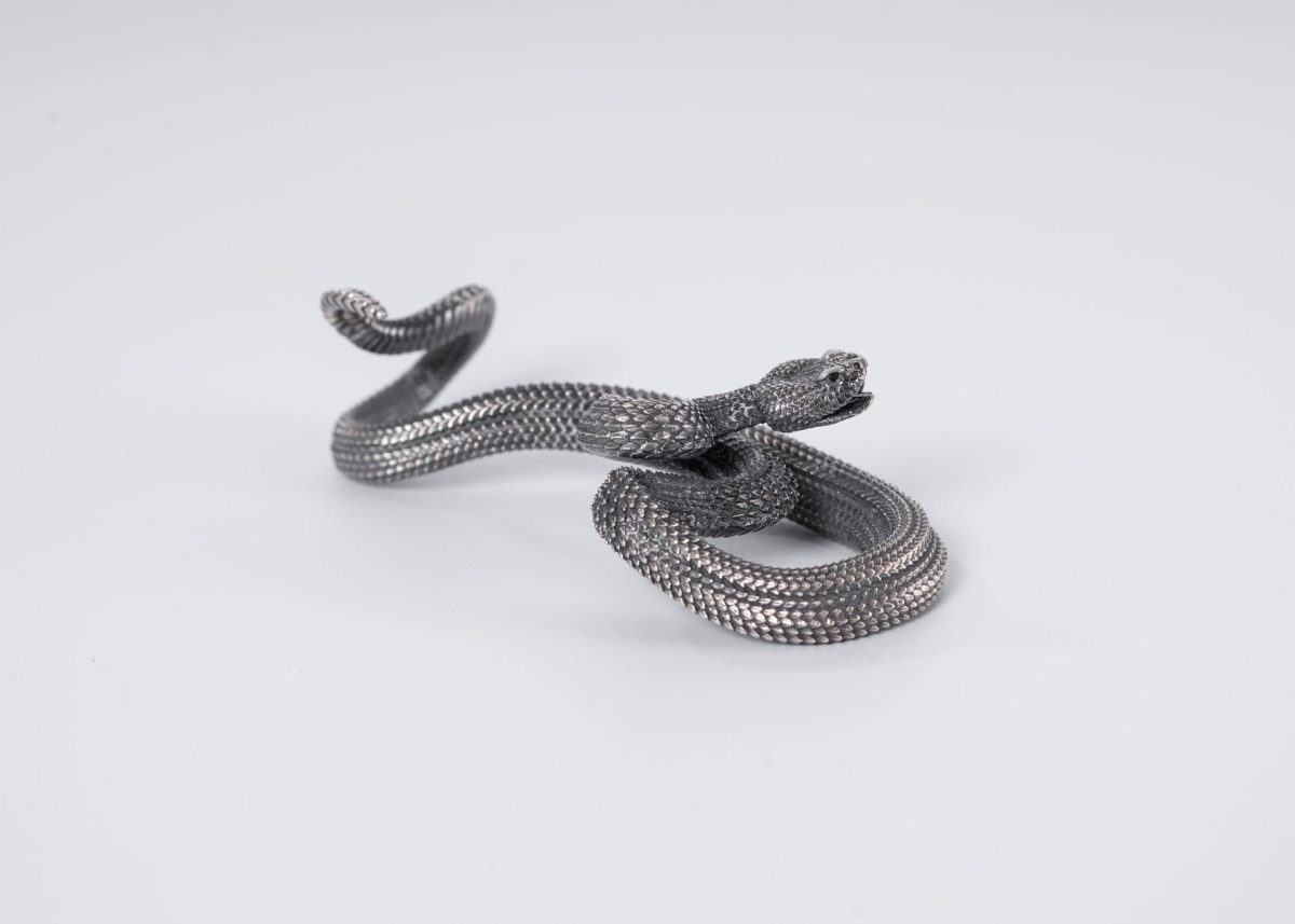37 serpenti in&nbsp;valigia